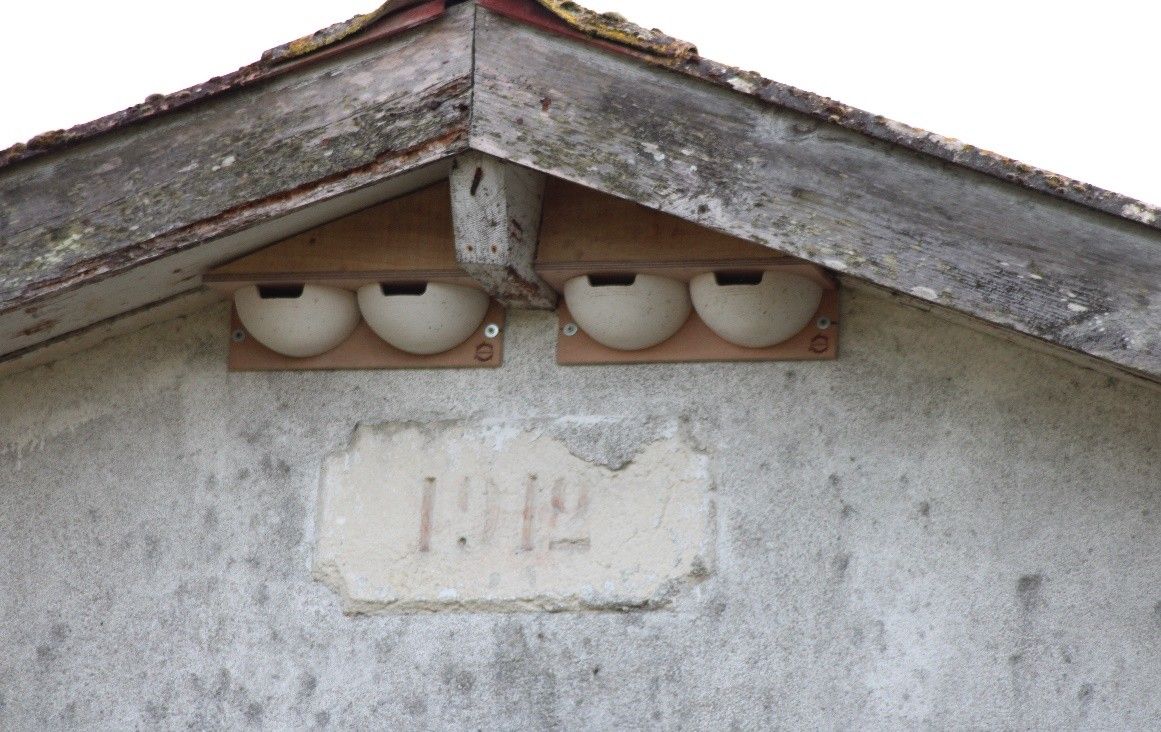 Nichoirs à hirondelle de fenêtre