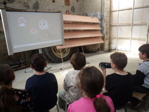 Projection film chouette effraie
