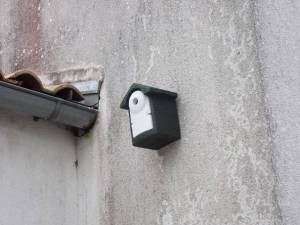 nichoir2_11042023